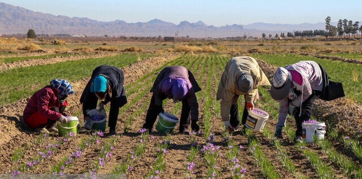 ظرفیت‌های معدنی و کشاورزی خراسان جنوبی محور توسعه صادرات به افغانستان قرار گیرد