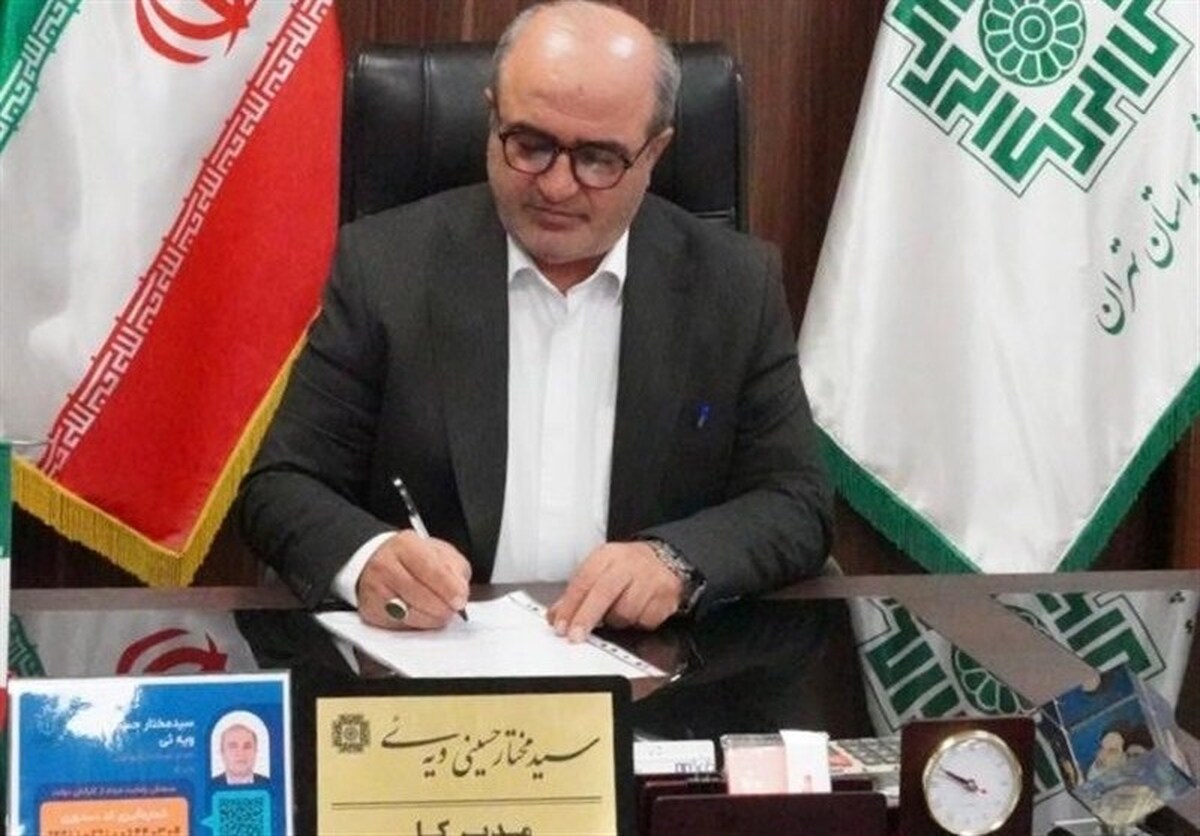 استقبال بی‌سابقه مودیان از تبصره ۱۰۰/ مالیات نصف مودیان شرق تهران صفر شد