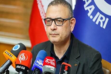 حسین پورفرزانه: شرکت‌های هواپیمایی باید رتبه‌بندی شوند