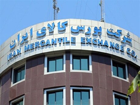 دادوستد ۲۴۳ هزار قرارداد اختیار معامله در بورس کالا
