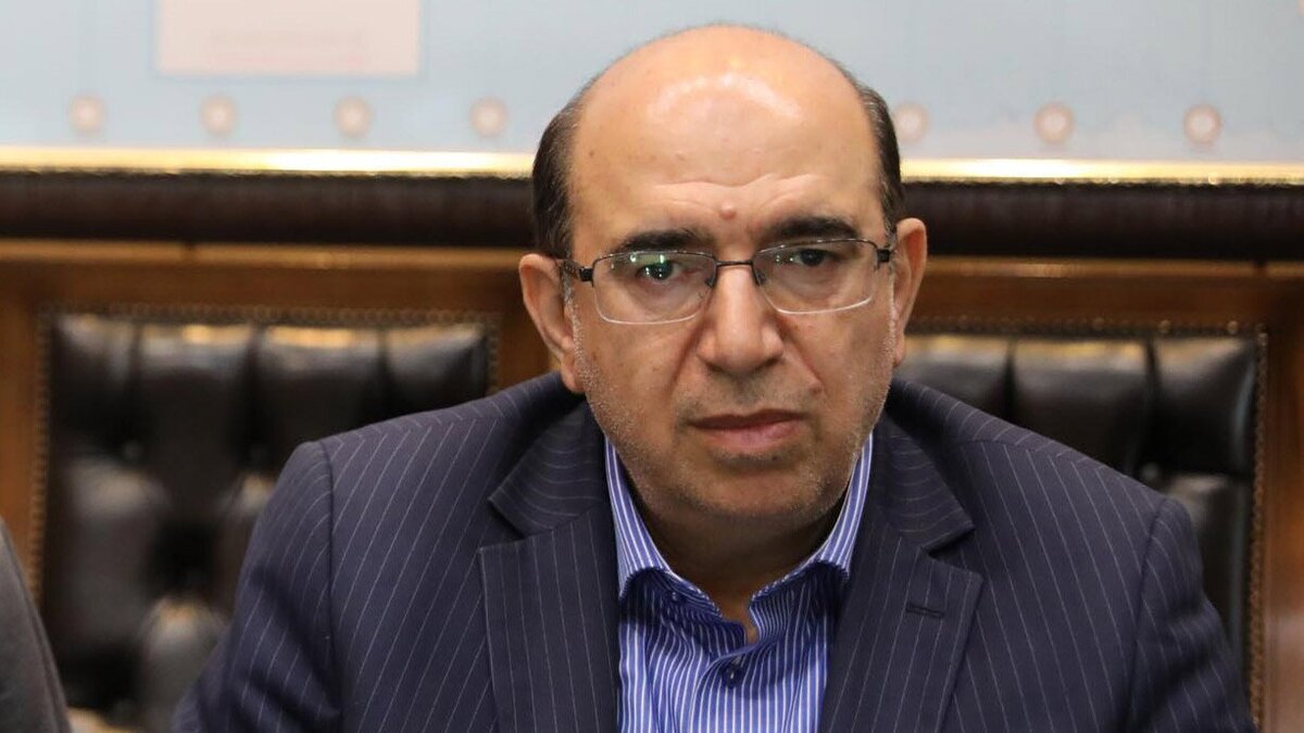 کنترل بازار خودرو بدون کنترل قیمت سایر کالا‌ها امکان‌پذیر نیست