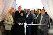 سیمرغ کارآفرینی در رفسنجان به پرواز درآمد