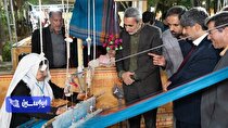 تحول مشاغل خرد خانگی با مدل توسعه‌محور