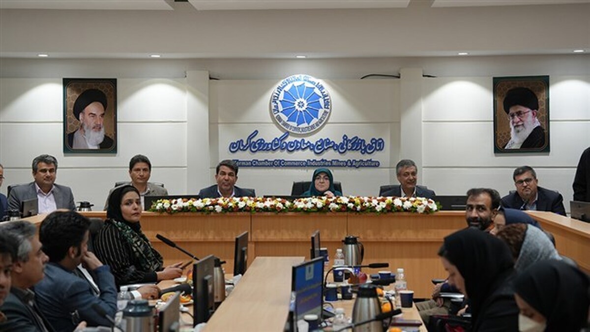 راه حل مشکلات کشور، رها کردن اقتصاد توسط دولت است