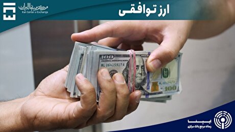 ۹۱ میلیون دلار در بازار ارز تجاری معامله شد