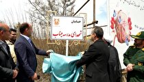 گام دوم نهضت نهال‌کاری صنعت مس در ورزقان