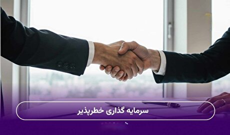 سرمایه‌گذاری خطرپذیر، بازوی حل مسائل صنعتی