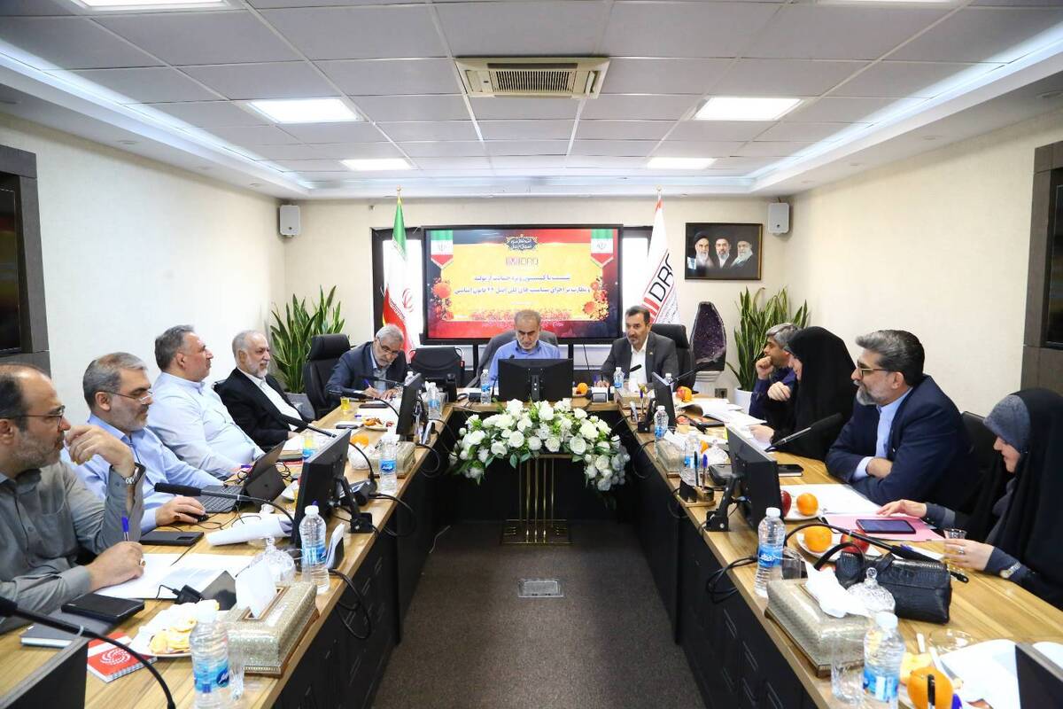 موافقت اعضای کمیسیون حمایت از تولید با فعالیت سازمان‌های توسعه‌ای طبق اساسنامه