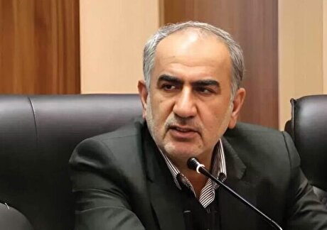 صندوق‌های ارزی بخشی از ارز‌های خانگی را به چرخه تولید برمی گردانند